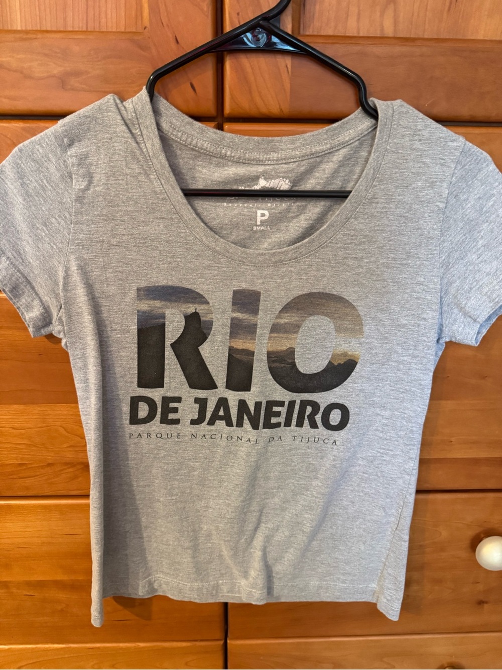Rio de Janeiro Gray Graphic Tee